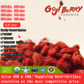 Melhor nutrição orgânica certificada Goji Berry com alta qualidade